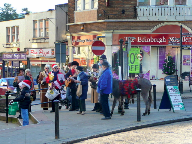 File:Little Donkey - geograph.org.uk - 1626862.jpg