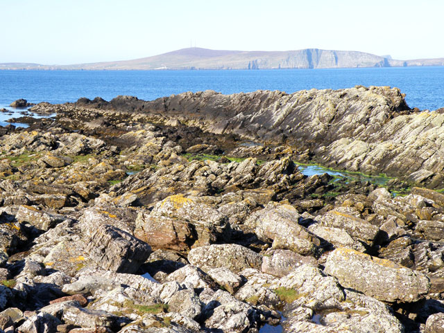 File:Longa Skerry - geograph.org.uk - 1307562.jpg