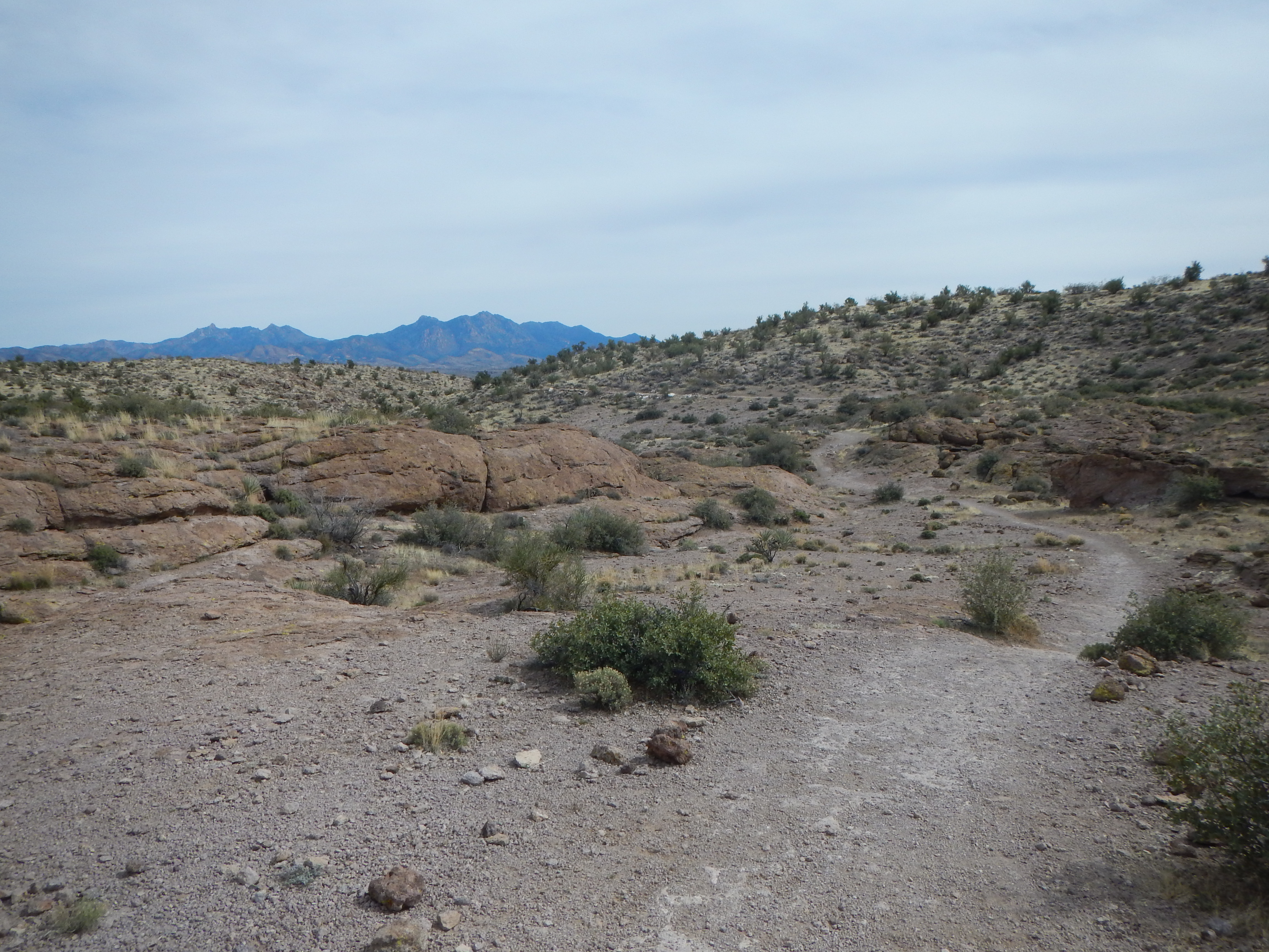 File Monolith Gardens Trail In Kingman Az Panoramio Jpg