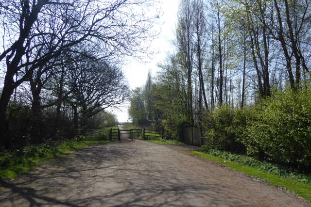 File:Old Askham Lane - geograph.org.uk - 5341236.jpg