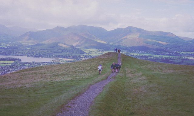 On Latrigg - geograph.org.uk - 30881