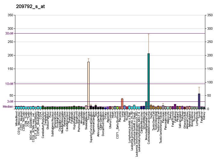 File:PBB GE KLK10 209792 s at fs.png