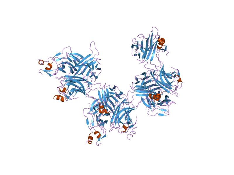 File:PDB 1oqd EBI.jpg