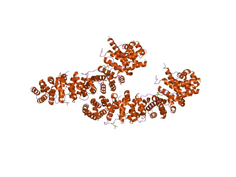 File:PDB 1th1 EBI.jpg