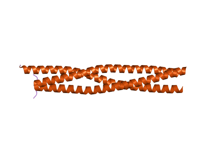 File:PDB 1wt6 EBI.png