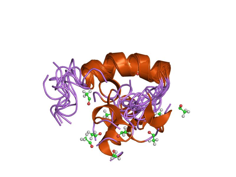 File:PDB 1zwf EBI.jpg