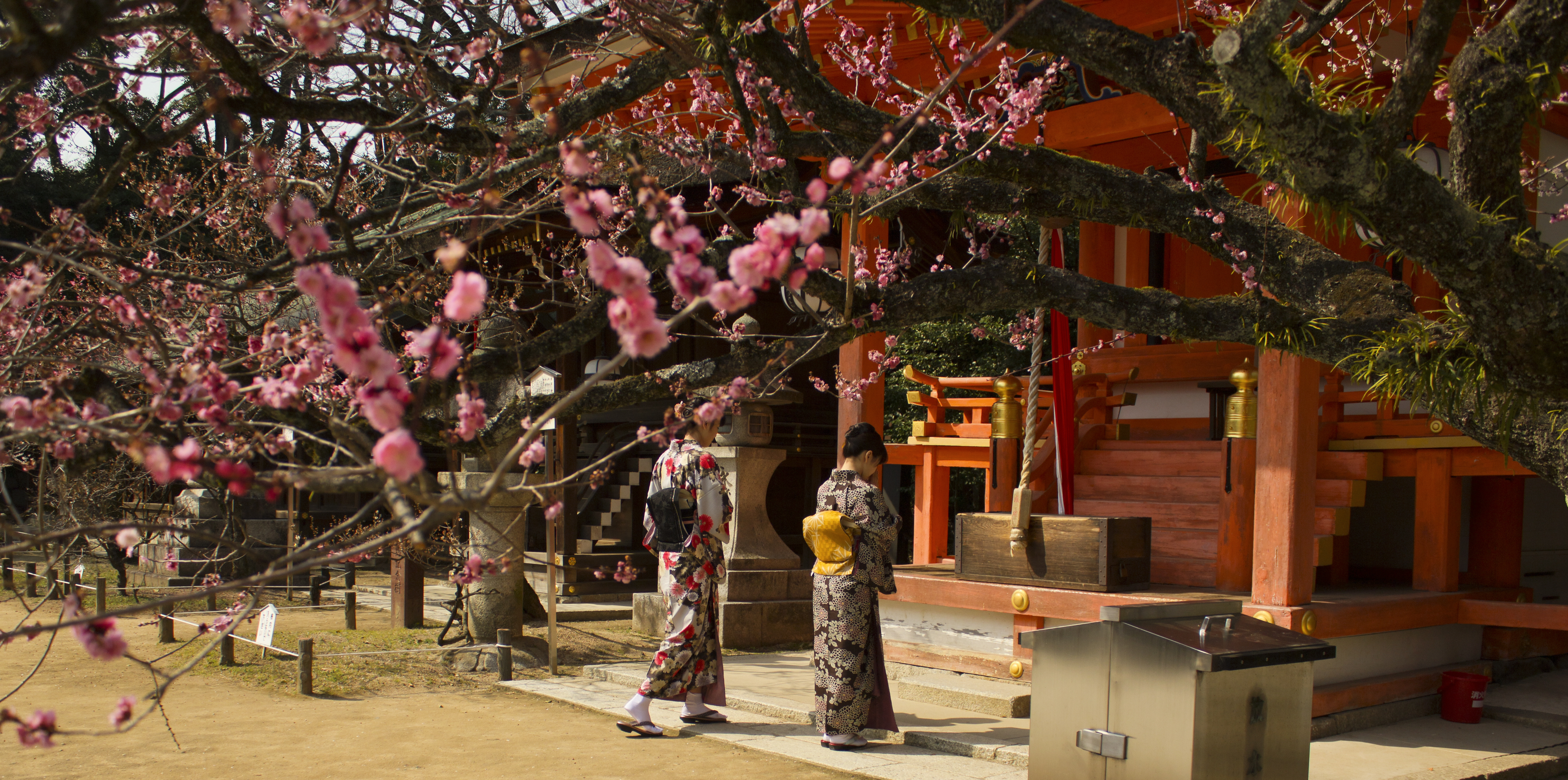 Shinto shrine - Wikipedia