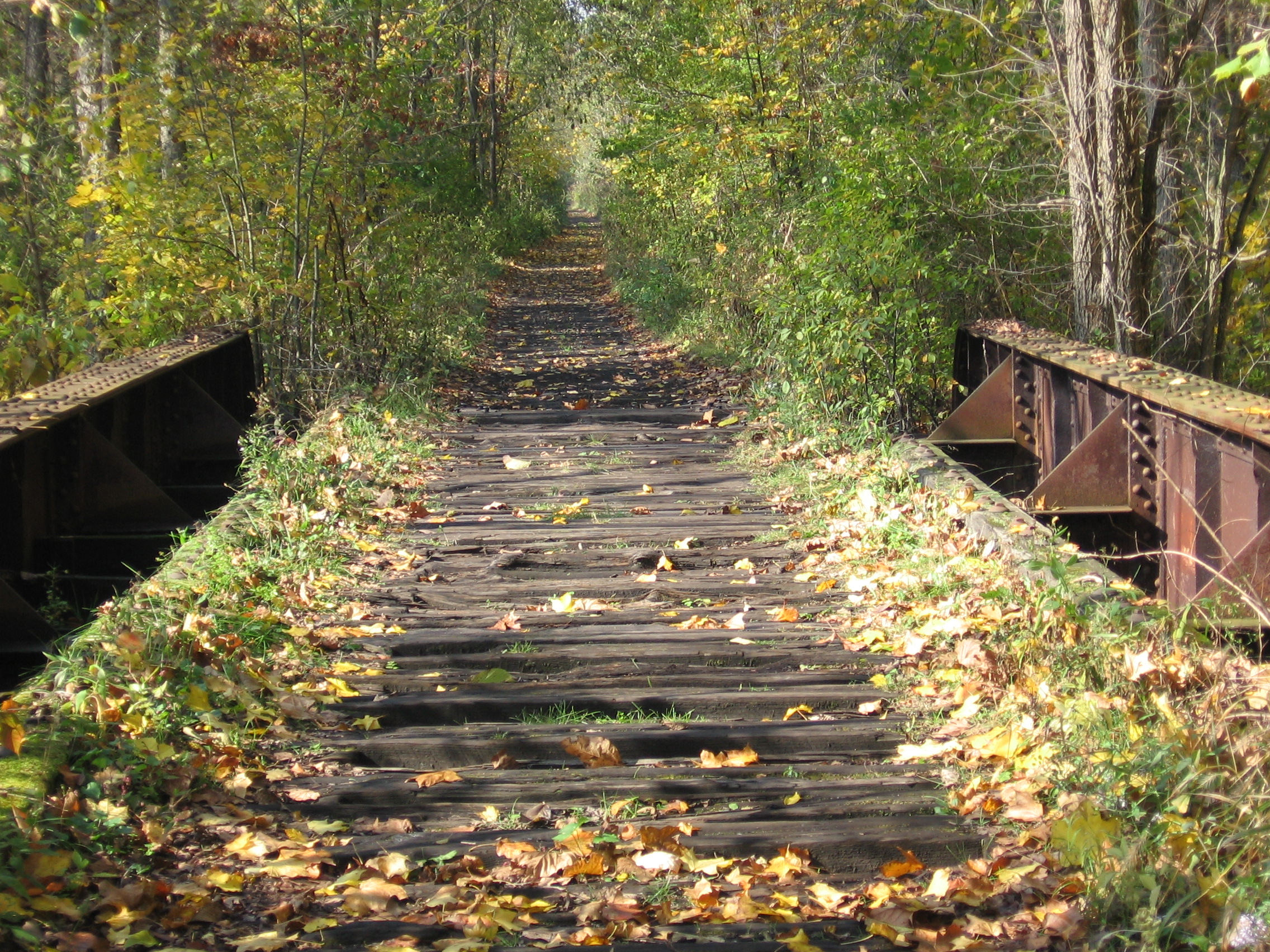 File:RailRoadTracks.jpg - Wikimedia Commons