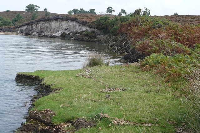 File:Shoreline at Arne Heath - geograph.org.uk - 972464.jpg