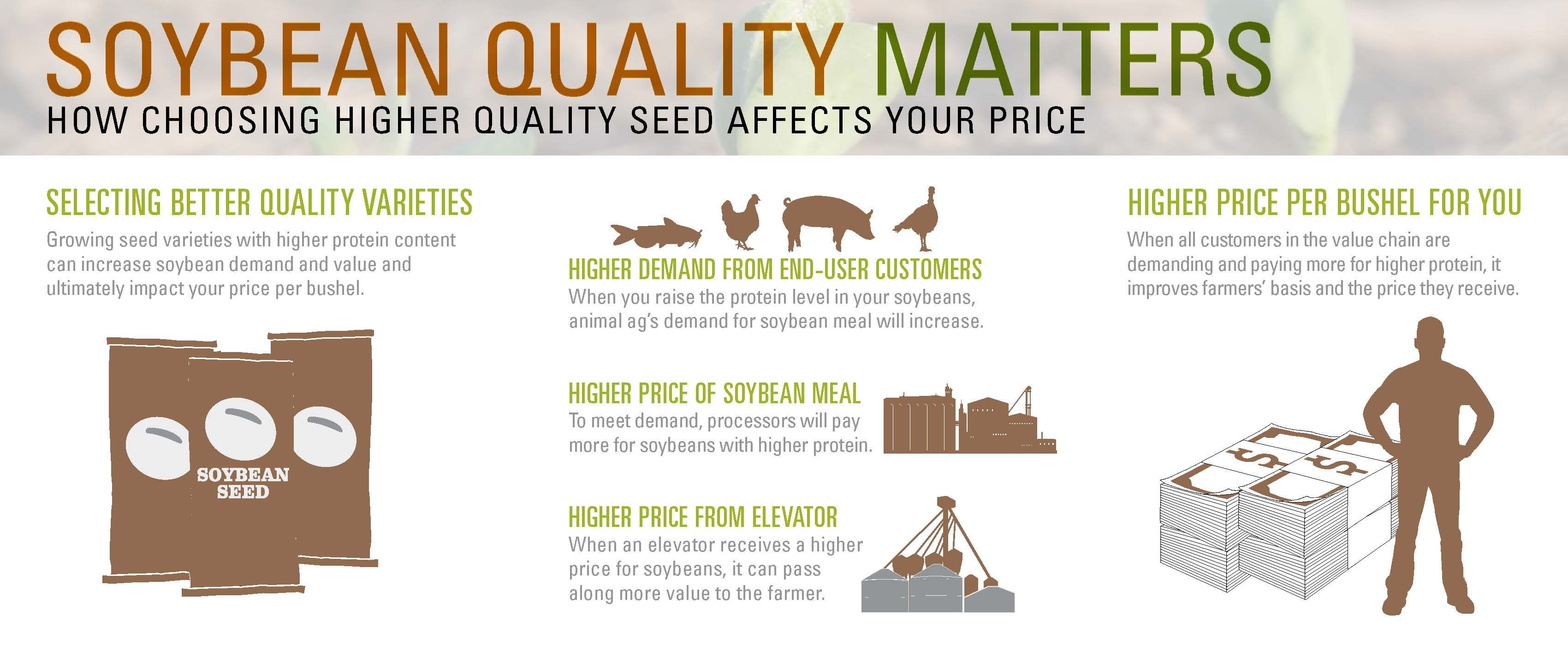 The price will be higher. Soybean meal перевод. Higher Price better quality. Malnutrition and Farming.