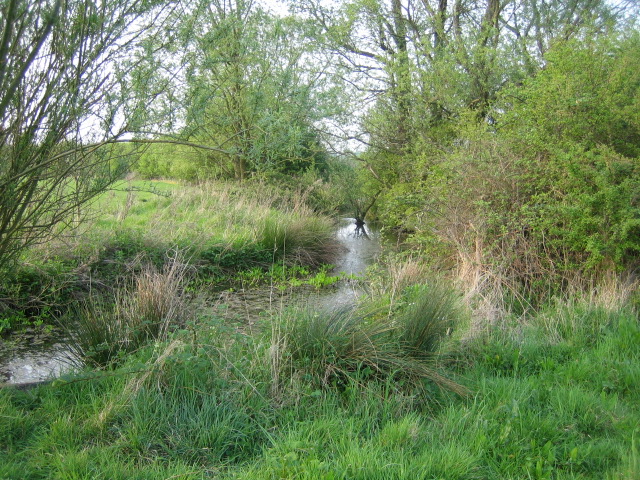 File:Stream near Prune Farm Cottages - geograph.org.uk - 486480.jpg