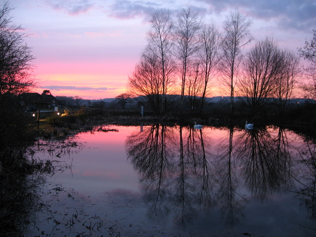 Nutfield Marshes