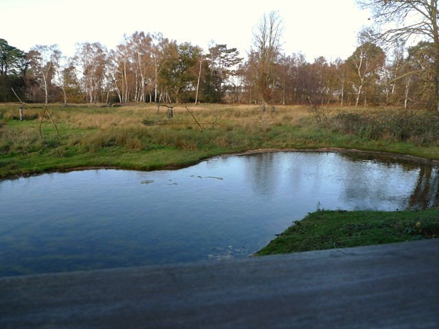 The View from Meadow Hide - geograph.org.uk - 1596349