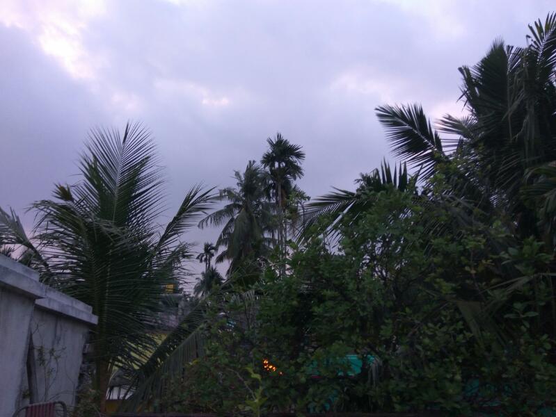 File:Trees and sky as figure and background.jpg