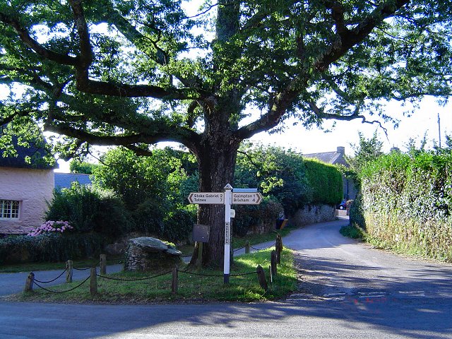 File:Waddeton oaktree - geograph.org.uk - 37899.jpg