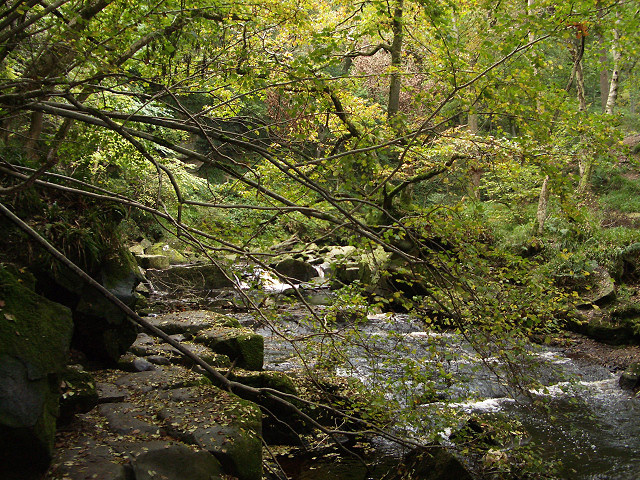 West Beck gorge - geograph.org.uk - 155298