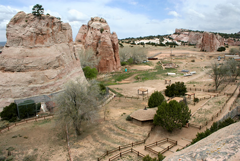 File:ZooBotanicalNavajo.jpg