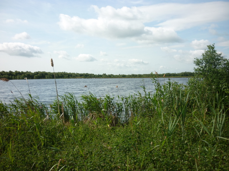 A new lake on Thorne Moor - geograph.org.uk - 2420403