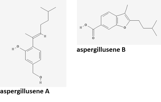 File:Aspergillusene A&B.png