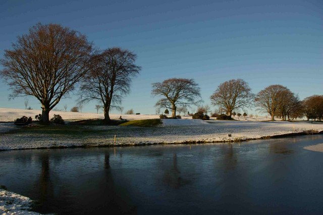 File:Beech Trees on Lockerbie Golf Course - geograph.org.uk - 221721.jpg