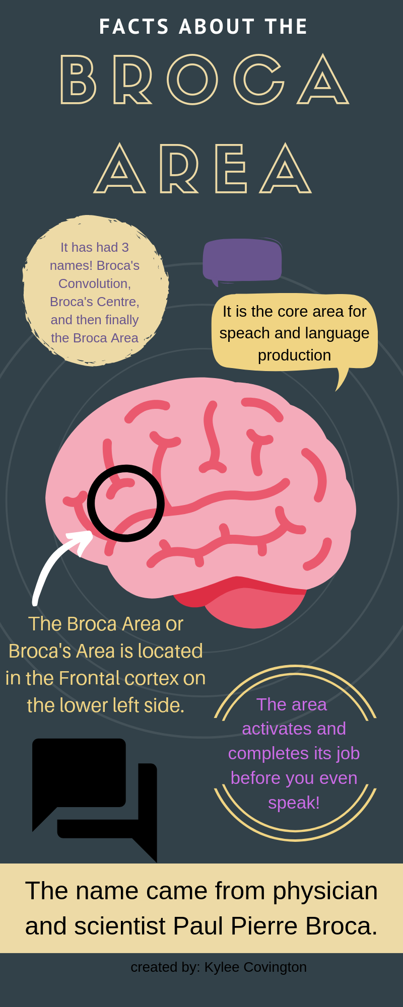 File:Cortex frontal lateral.png - Wikimedia Commons