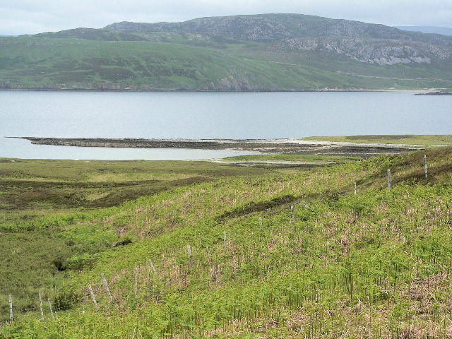 File:Corner of Eilean Dubh in Loch Eriboll - geograph.org.uk - 498145.jpg