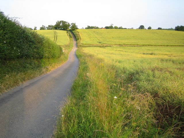 File:Dane End Tributary - geograph.org.uk - 194275.jpg