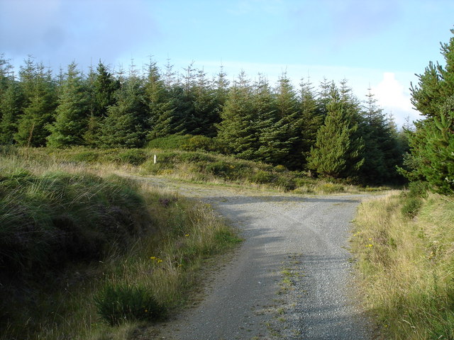 File:Forestry track junction - geograph.org.uk - 224537.jpg