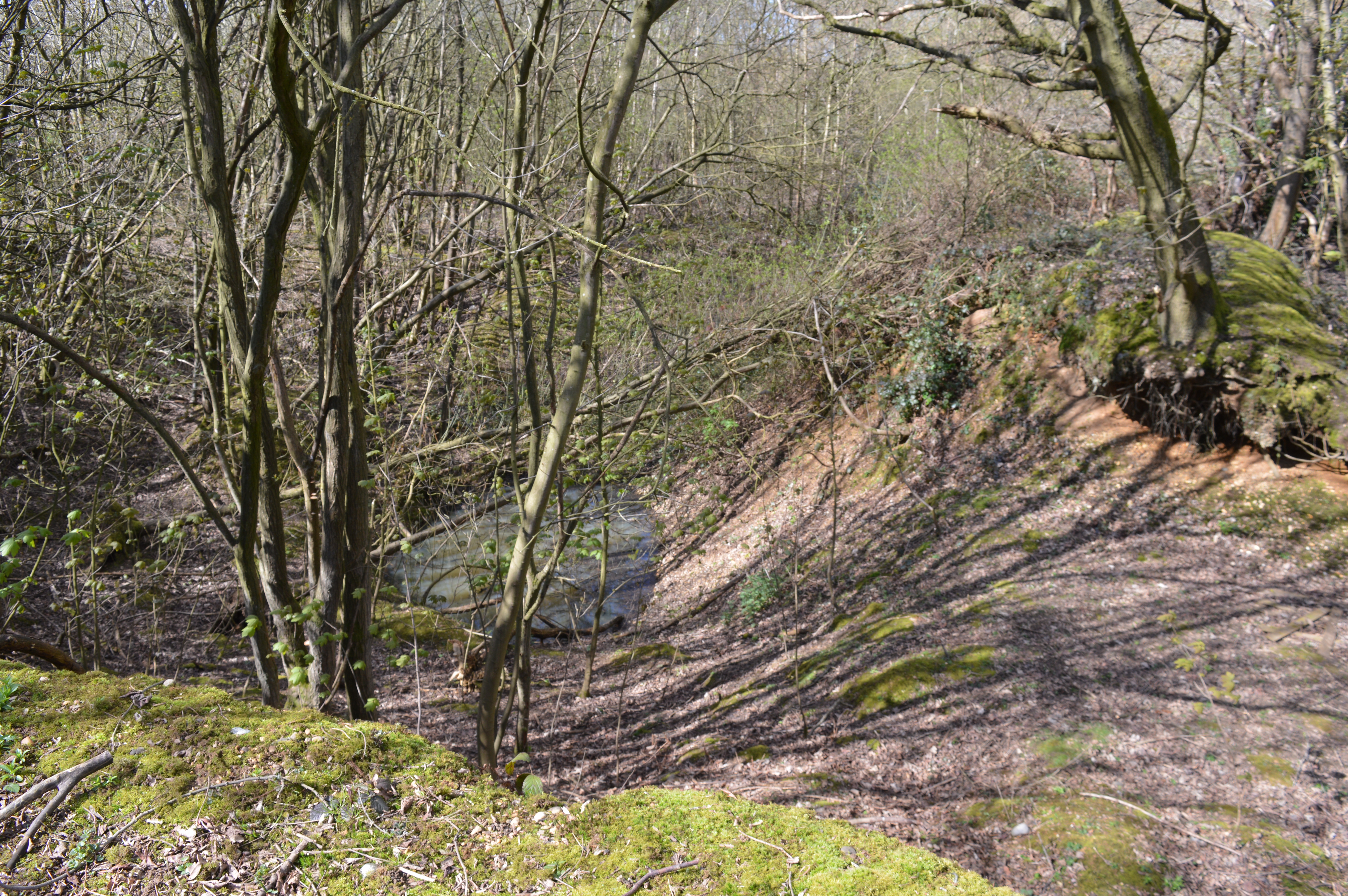 Froghall Brickworks