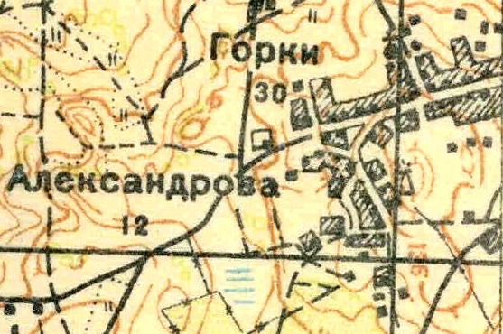 План деревни Горки. 1930 год