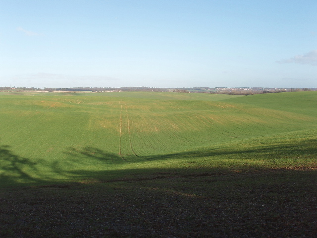 File:Grassland near Denham - geograph.org.uk - 112433.jpg