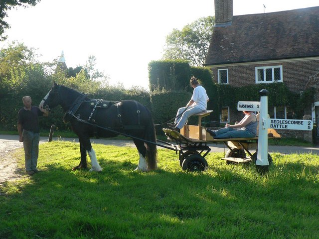 File:Horse and cart having a break - geograph.org.uk - 558603.jpg