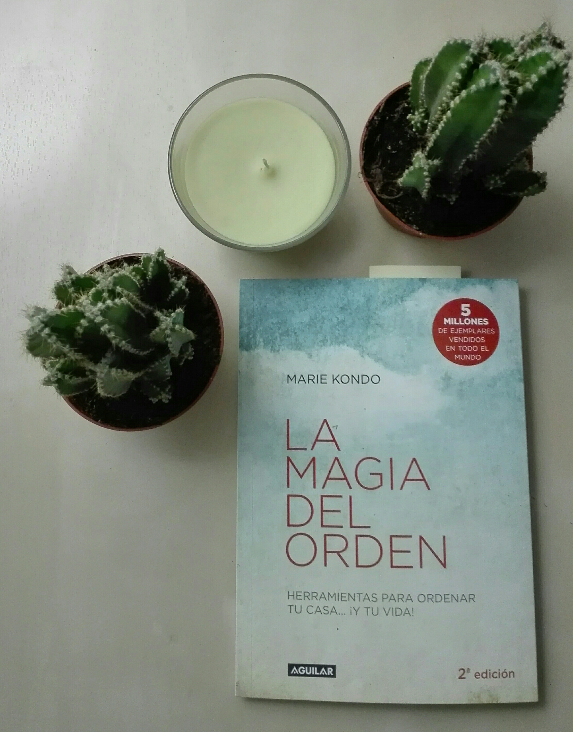 LA MAGIA DEL ORDEN