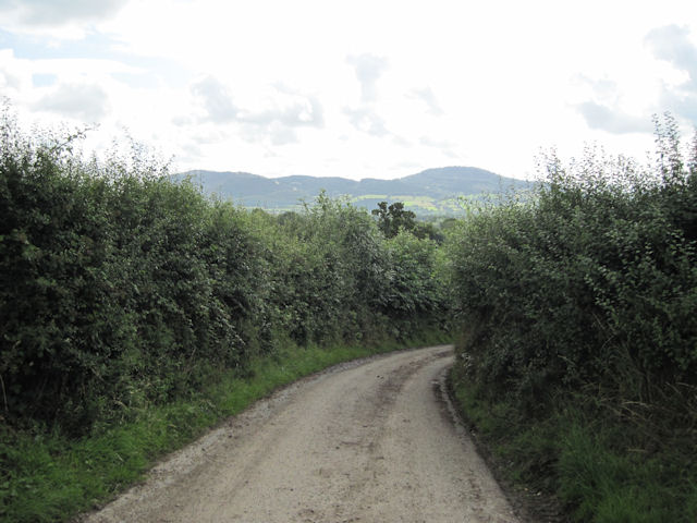 File:Lane To Deepcutting - geograph.org.uk - 1421752.jpg