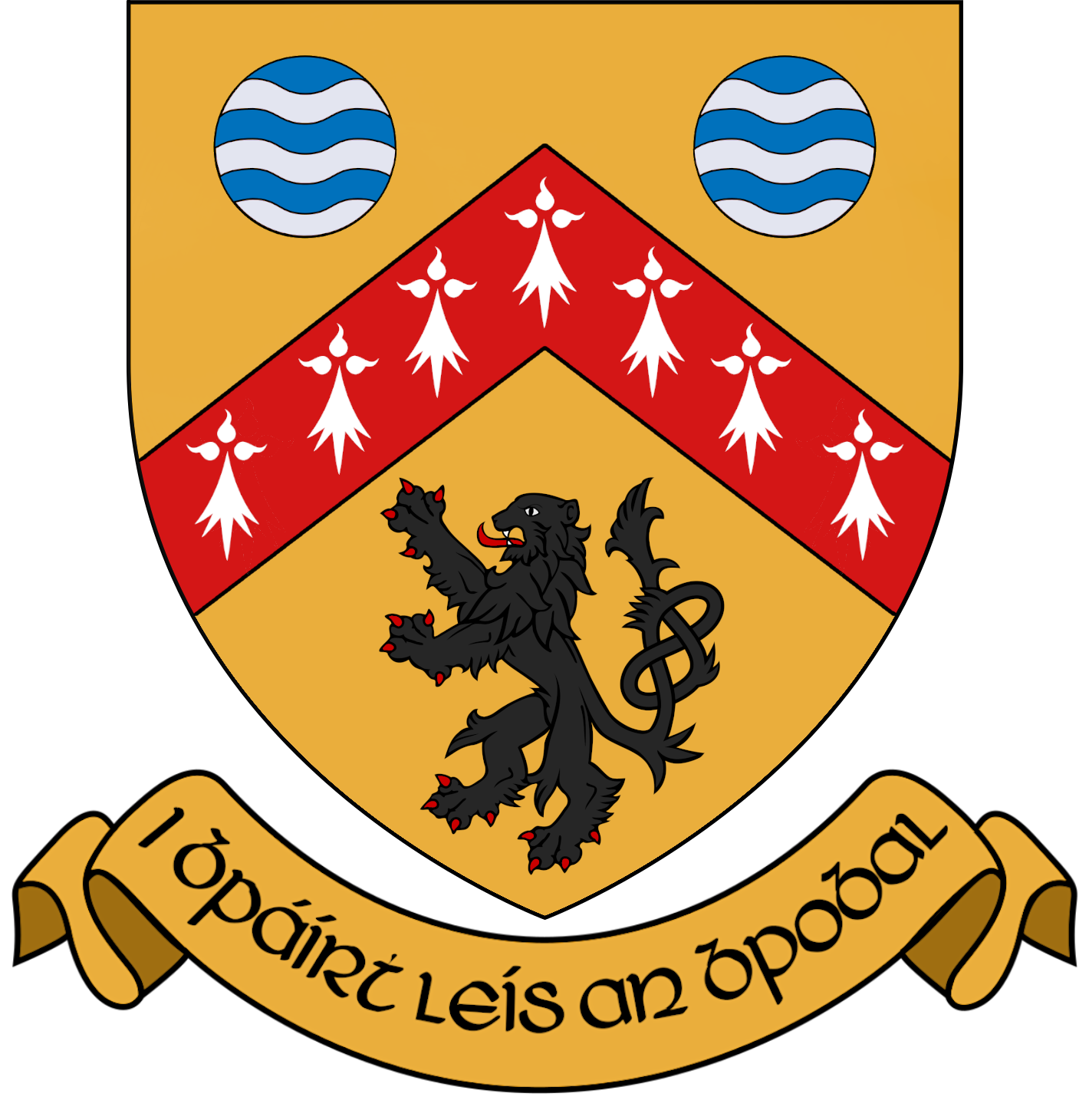 Laois County Council - Wikipedia