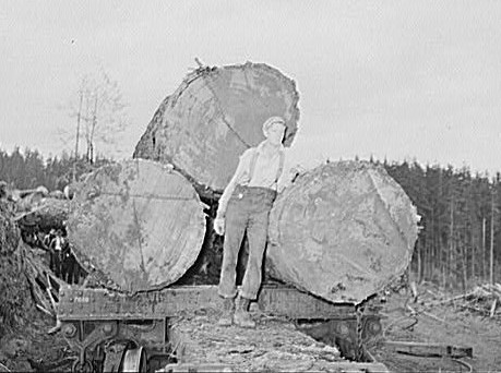 File:Long Bell Lumber Co 06.jpg