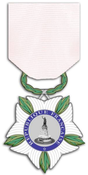 <span class="mw-page-title-main">National Medal of Recognition for victims of terrorism</span> National medal of France