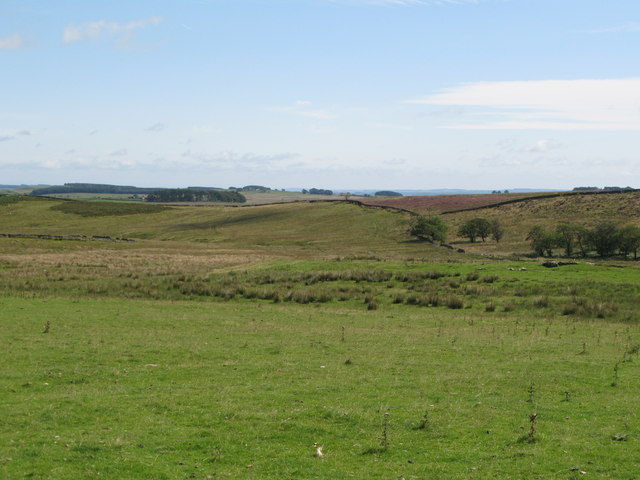 File:Moorland east of Great Lonbrough - geograph.org.uk - 536450.jpg