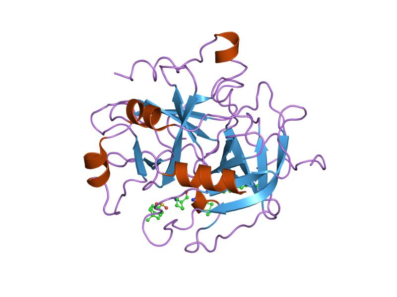 File:PDB 1eoj EBI.jpg