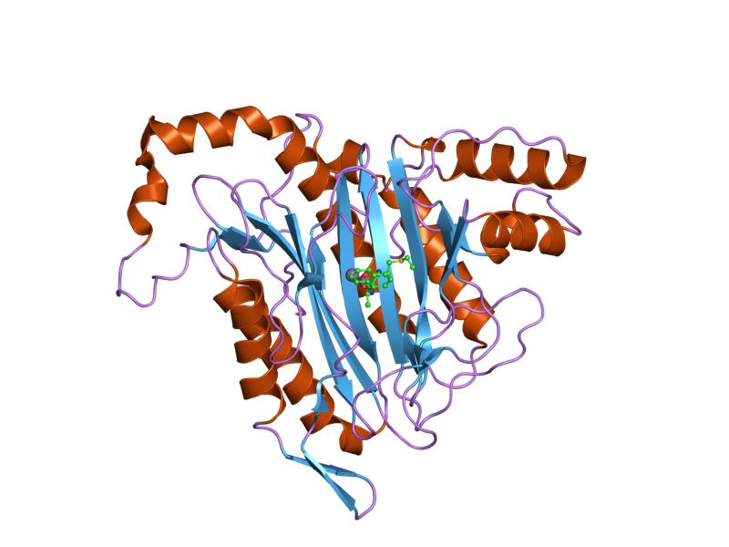 File:PDB 1r5g EBI.jpg