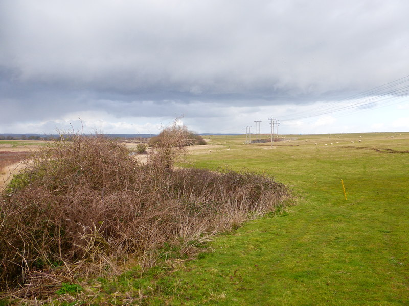 File:Poles with wires on open farmland by Aldingbourne Rife - geograph.org.uk - 3865728.jpg