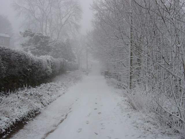 File:Snow falling on Scholebroke Lane, Pudsey. - geograph.org.uk - 134080.jpg