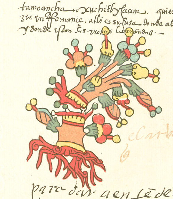 Archivo:Tamoanchan Codex Telleriano-Remensis.jpg - Wikipedia, la