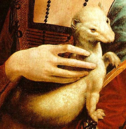 File:The Lady with an Ermine rodent.jpg