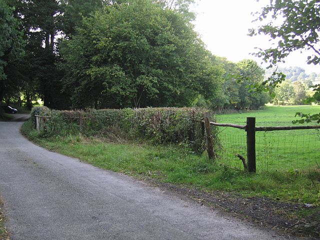 File:Trace of a level crossing - geograph.org.uk - 559460.jpg