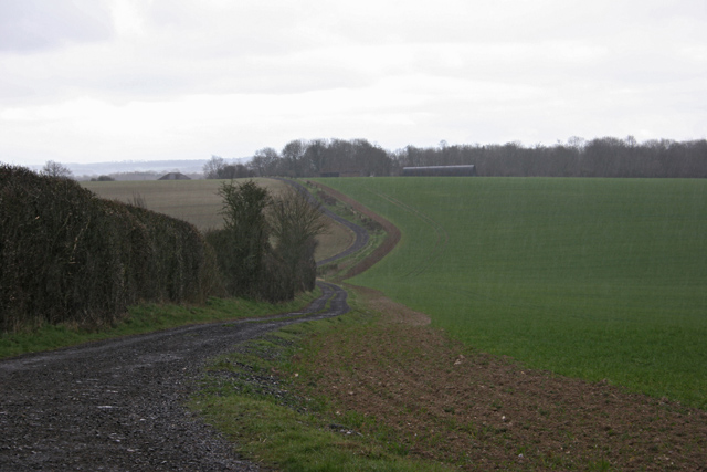 File:Trackway near Bugmore Hill - geograph.org.uk - 151732.jpg