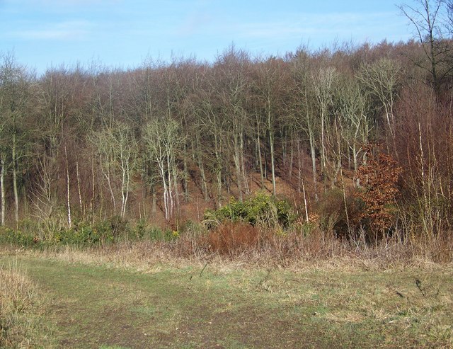 File:Vernditch Chase - geograph.org.uk - 682101.jpg