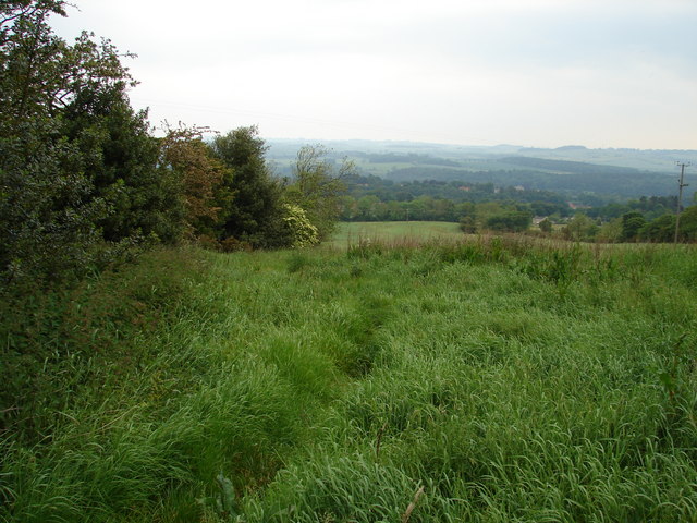 File:View from footpath near High Plains - geograph.org.uk - 456162.jpg