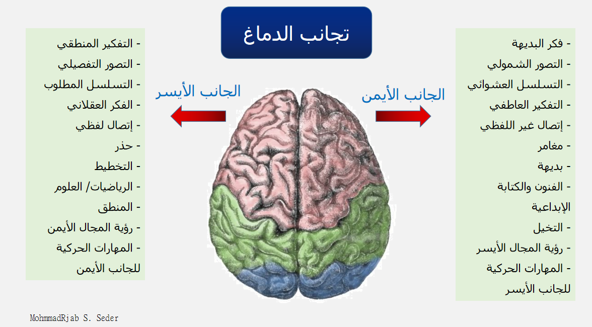 الفرق بين نصفي الدماغ