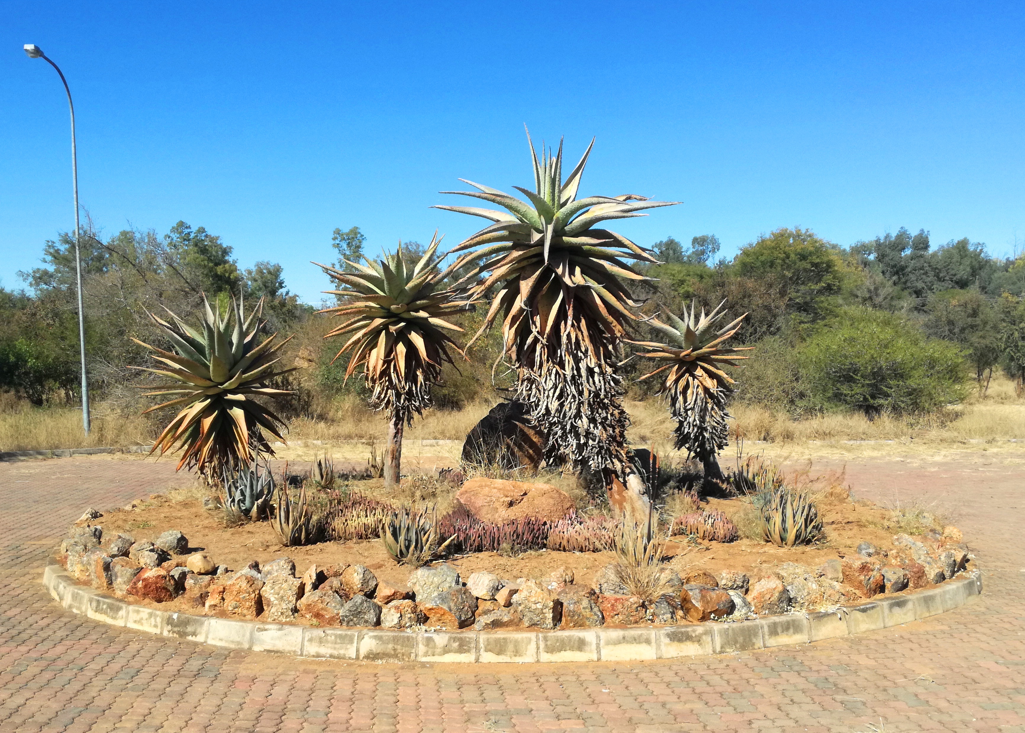 National Botanical Garden Botswana Wikipedia